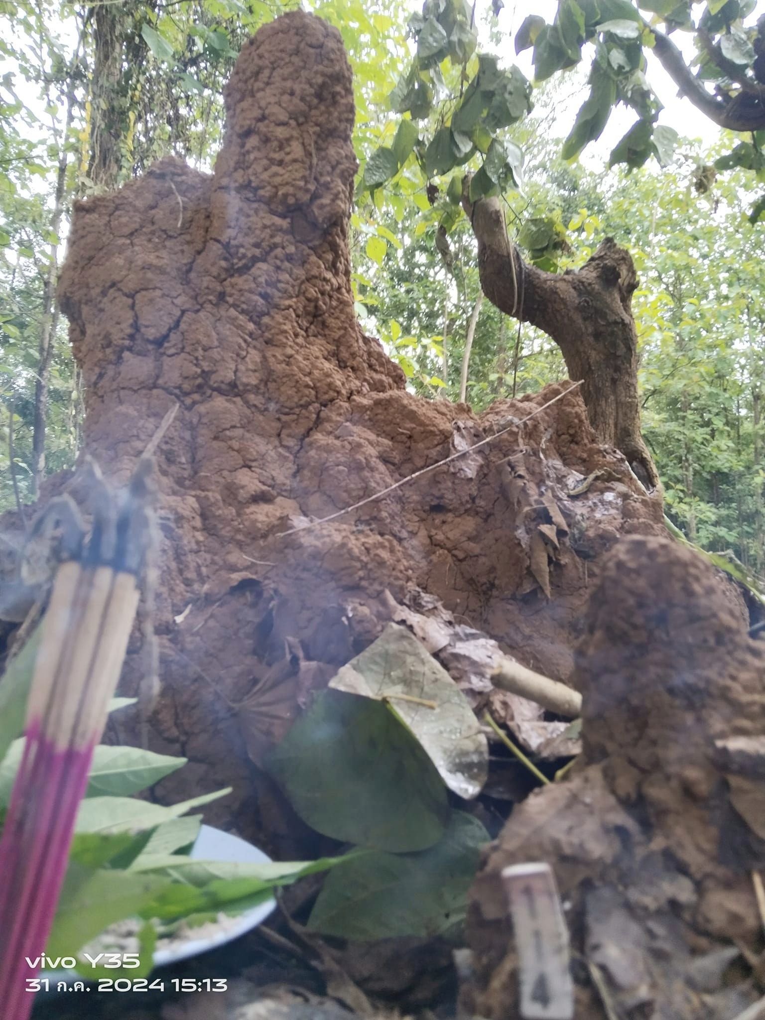 สาวจุดธูปขอเลขเด็ดหลังเจอจอมปลวกคล้ายพระเกจิดัง