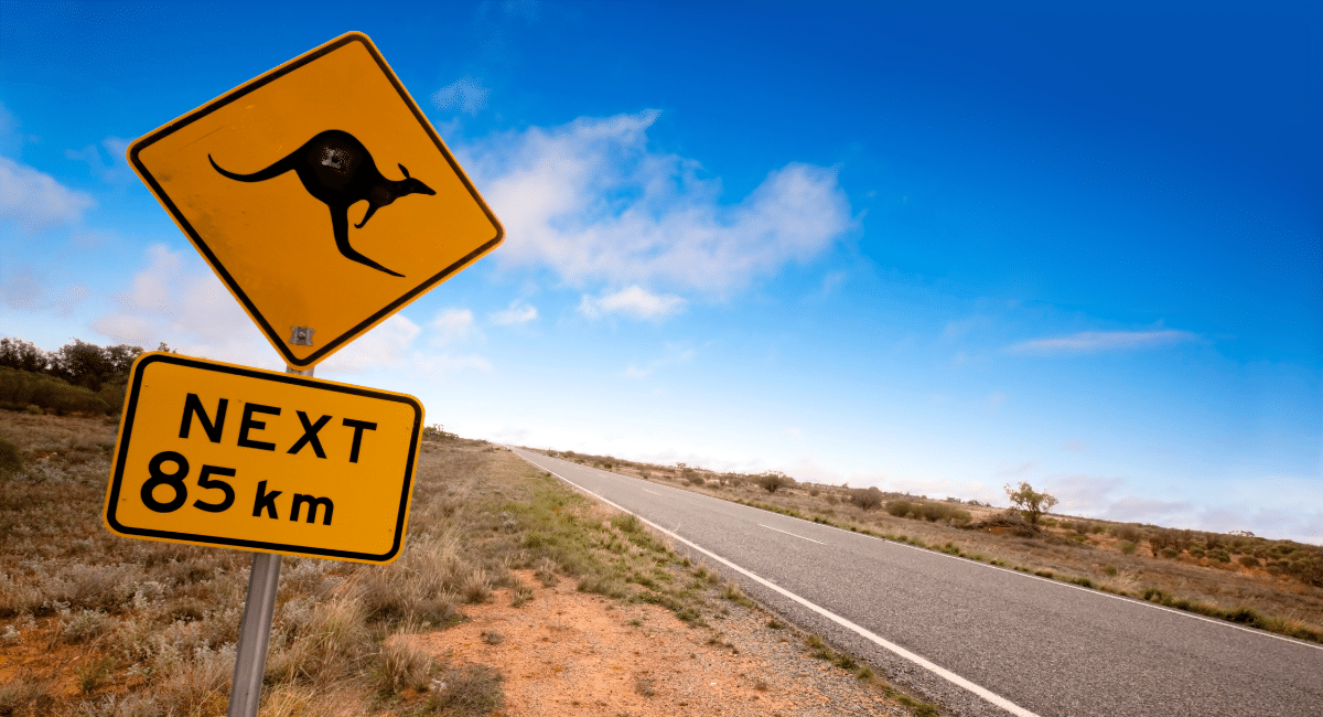 ป้ายบอกทางในออสเตรเลียที่บอกว่าให้ระวังจิงโจ้ที่อยู่ข้างหน้า