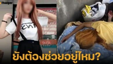 อีซ้อขยี้ข่าวโพสต์ภาพ น้องจุ๊บแจง ย้อมผมสีทองกลับมานอนใต้สะพาน ไม่มีใครอยากช่วยเหลือแล้ว ชีวิตที่เลือกเอง