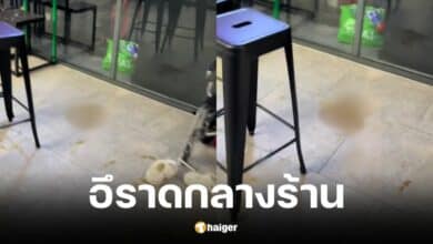 สาวเมาหนัก อึกลางร้าน เพื่อนวงแตก สร่างเมาทั้งโต๊ะ