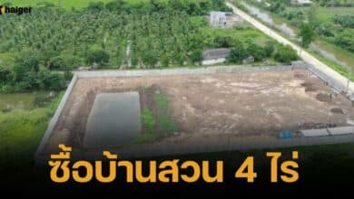 "บุ๋ม ปนัดดา" เล่าความน่ารักของสามี "ก๊อต อธิป" ซื้อบ้านสวน 4 ไร่