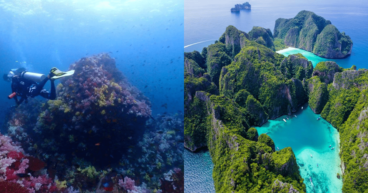 เกาะหลีเป๊ะ จังหวัดสตูล เป็นหนึ่งในจุดดำน้ำตื้นและดำน้ำลึกอีกหนึ่งแห่งที่สวยที่สุดในไทย