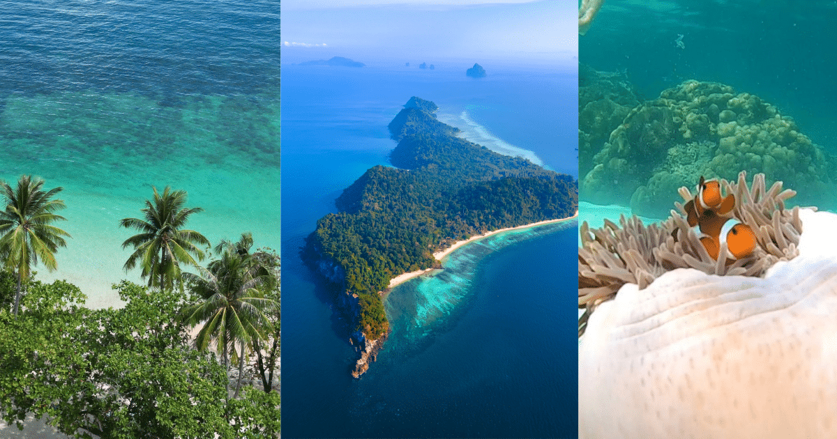 เกาะกระดาน ไม่ได้เป็นเพียงจุดดำน้ำตื้น สวยที่สุดในไทยเท่านั้น แต่ยังถูกจัดอันดับว่าเป็น ชายหาดดีที่สุดในโลกของปี 2023 โดย World Beach Guid