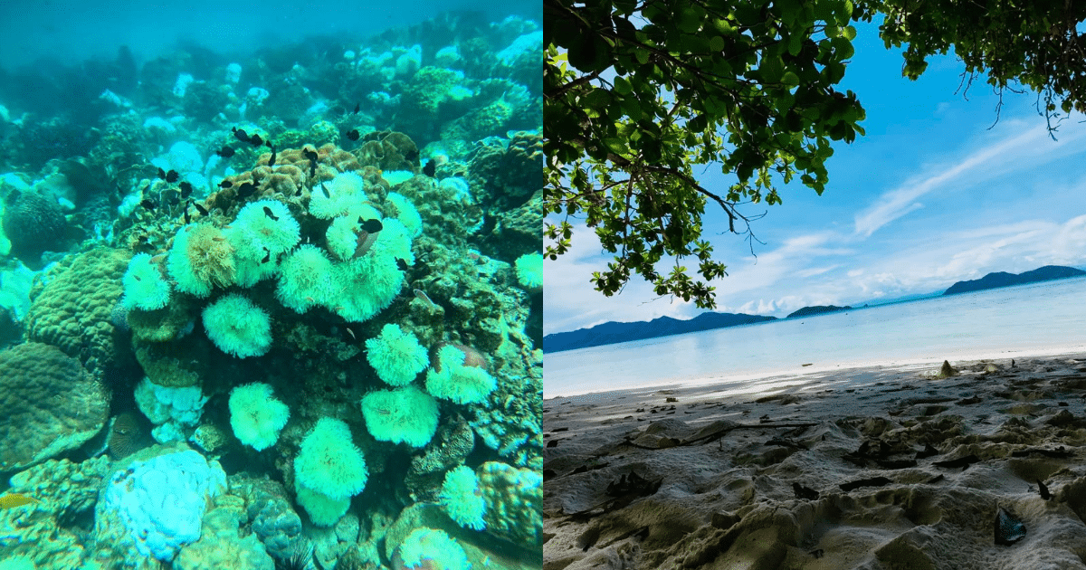 เกาะช้าง แลนด์มาร์คเด็ดของจังหวัดตราด สถานที่ท่องเที่ยวหลากหลายกิจกรรม