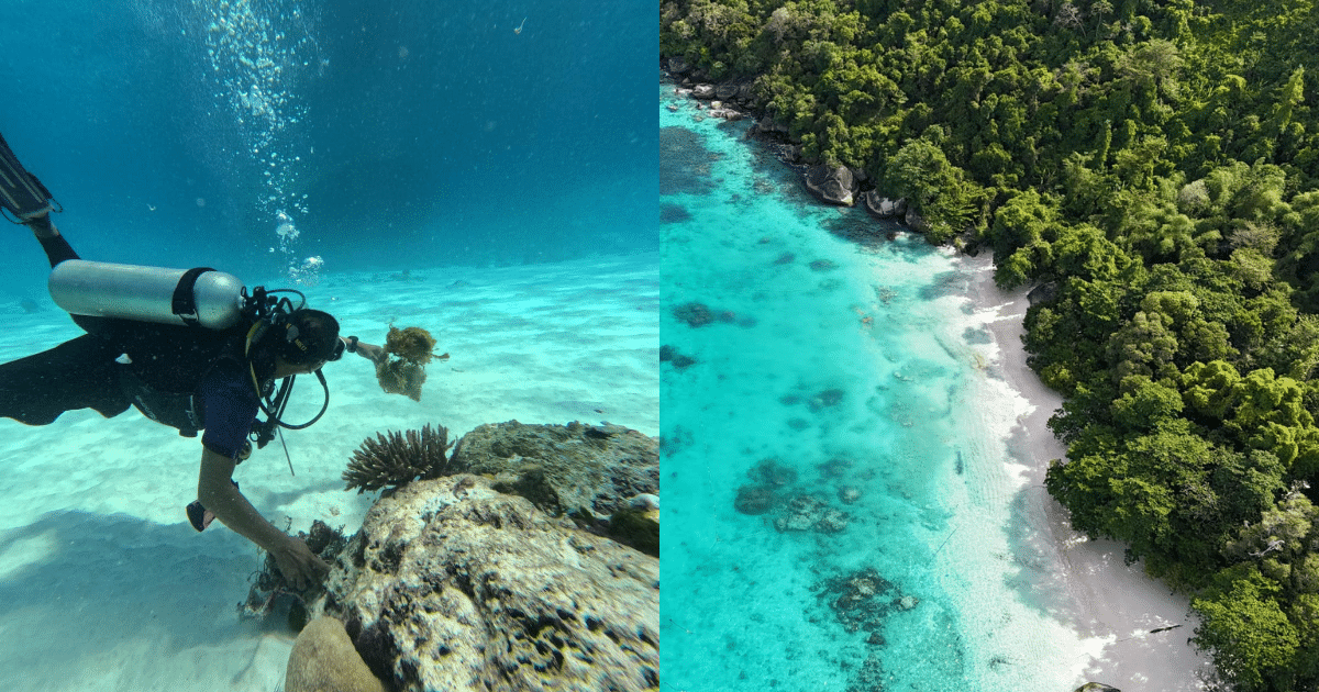 หมู่เกาะสิมิลัน จุดดำน้ำที่อยู่กลางทะเลอันดามัน มีแนวปะการังเขากวางขนาดใหญ่ทอดยาว อุดมไปด้วยปลาทะเลนานาชนิด