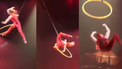 นักกายกรรม Cirque du Soleil ตกจากห่วง