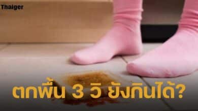 หมอตอบเอง อาหารตกพื้น 3 วินาที ยังกินต่อได้หรือไม่