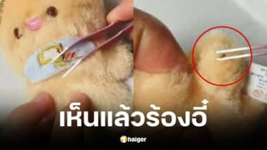 ตุ๊กตาหมีมีไข่แมลงซ่อนอยู่