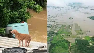 น้ำท่วมเชียงรายตอนนี้