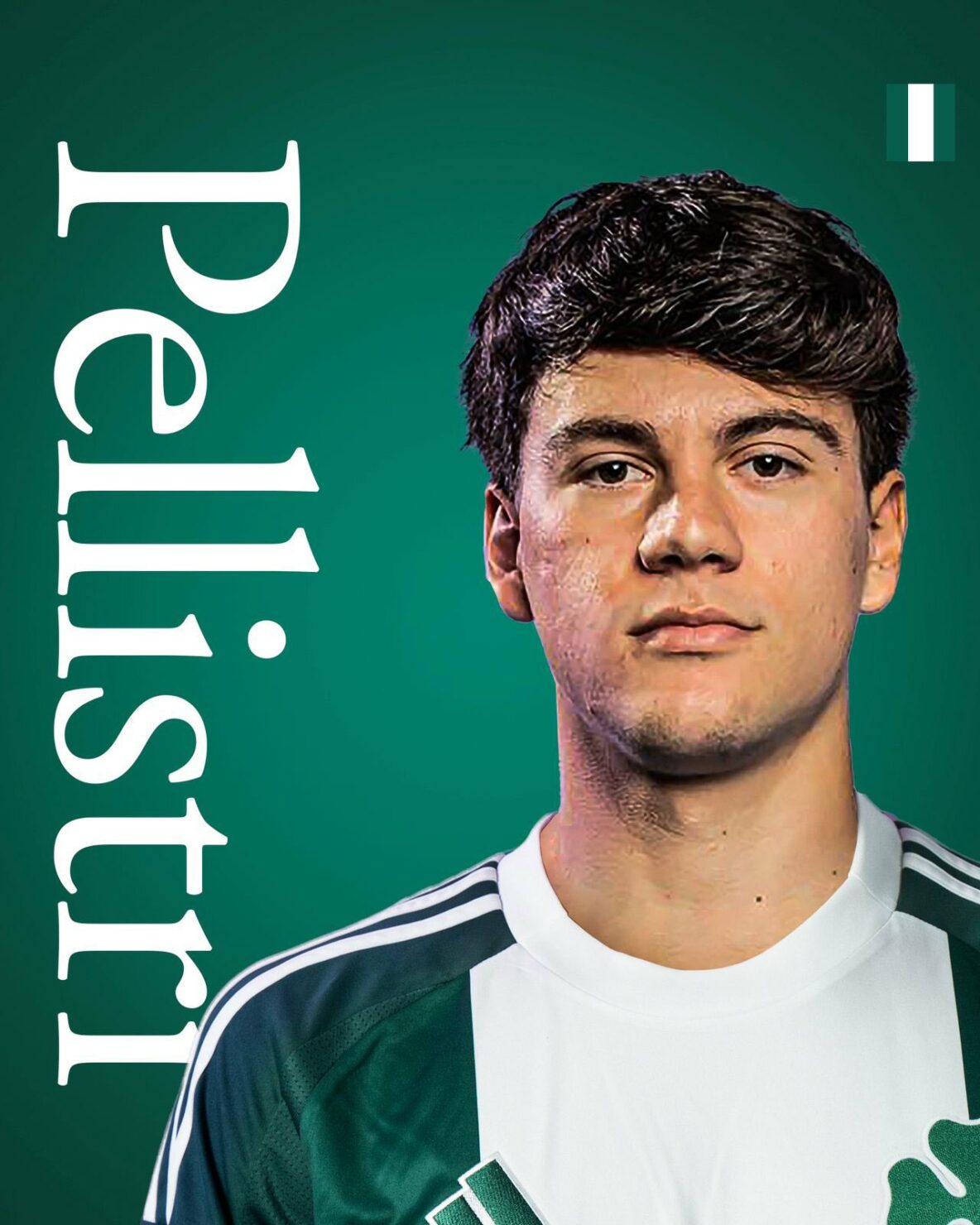 ฟากุนโด้ เปยิสตรี้