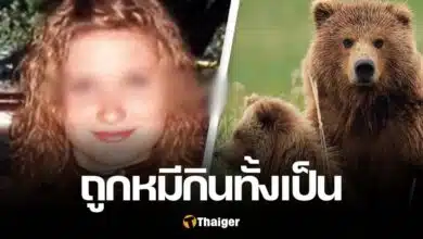 สาว ถูกหมีกินทั้งเป็น