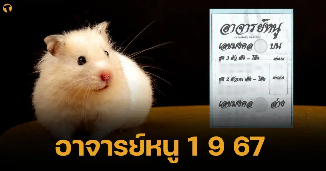 มาแล้ว เลขเด็ด อาจารย์หนู 1 ก.ย. 67 รวมชุดเลขเต็ง-โต๊ดแห่งสำนักตะเภา | Thaiger ข่าวไทย