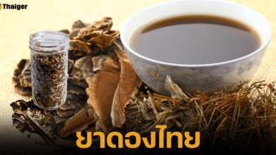 เปิดประวัติ "ยาดองไทย" จากภูมิปัญญาโบราณสู่ความนิยมในปัจจุบัน ตำรับลับแพทย์ไทยจากสมุนไพรหายาก พร้อมแนะนำวิธีการใช้ให้ถูกต้องไม่ทำลายสุขภาพ