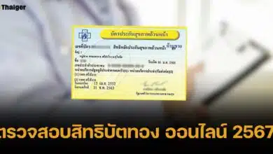 วิธีตรวจสอบสิทธิบัตรทอง 2567 ออนไลน์ ทำได้ง่าย เช็กได้ทุกสิทธิ