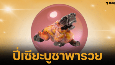 ขั้นตอนการบูชาปี่เซียะให้ถูกวิธี เสริมดวงการเงิน