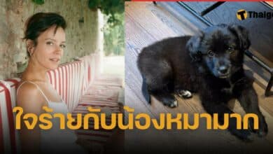 ลิลลี่ อัลแลน ส่งหมาคืนสถานสงเคราะห์