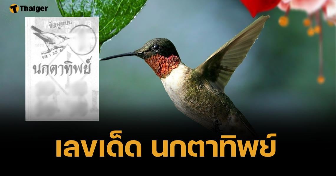 เลขเด็ด นกตาทิพย์ งวด 1 9 67 ลายแทงลอตเตอรี เนตรวิหคศักดิ์สิทธิ์ | Thaiger ข่าวไทย