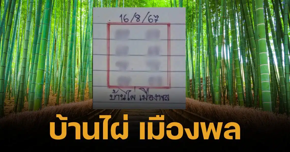 เลขเด็ด บ้านไผ่เมืองพล 16 8 67 แนวทางลอตเตอรี เลขท้ายสองตัว | Thaiger ข่าวไทย