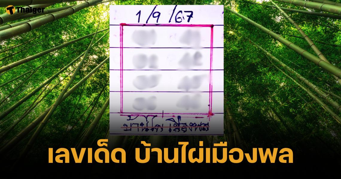 เลขเด็ด บ้านไผ่เมืองพล งวด 1 กันยายน 2567 ชุดเลขเขียวจี 3-4 มาแรง | Thaiger ข่าวไทย