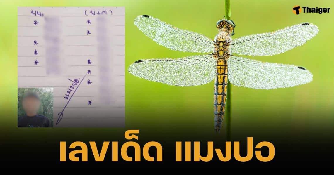 เลขเด็ด แมงปอ งวด 16 ส.ค. 67 แนวทางลอตเตอรี เลขดอกจัน 10 ตัว | Thaiger ข่าวไทย