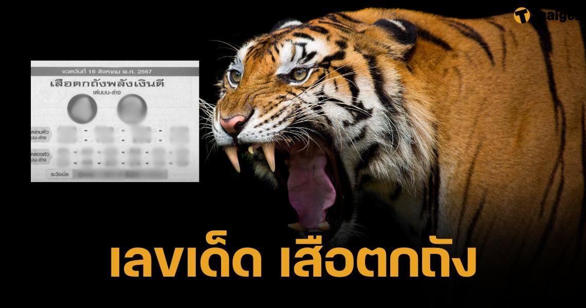 เลขเด็ด เสือตกถังพลังเงินดี งวด 16 ส.ค. 67 แนวทางหวยจากพยัคฆ์คำราม | Thaiger ข่าวไทย