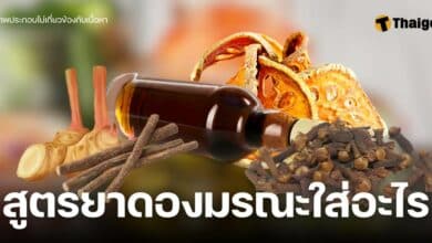 ยาดองมรณะใส่อะไรบ้าง