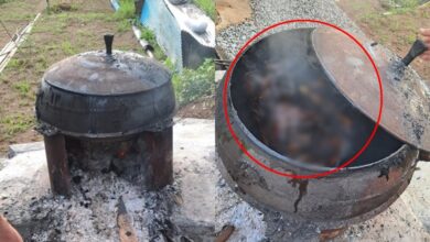 เผาหมาในหม้อ