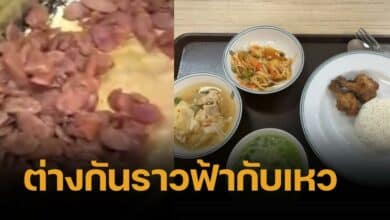 ฟ้ากับเหว เมนูพลทหาร ทบ.มื้อล่ะ 10 บาท ถูกกว่าทหารเกณฑ์เท่าตัว มีสารอาหารเพียบ