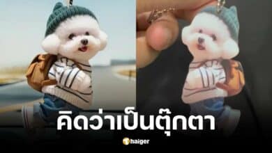 หนุ่มสั่งตุ๊กตาจากเว็บไซต์ temu แต่สินค้าที่ได้คือพวงกุญแจ