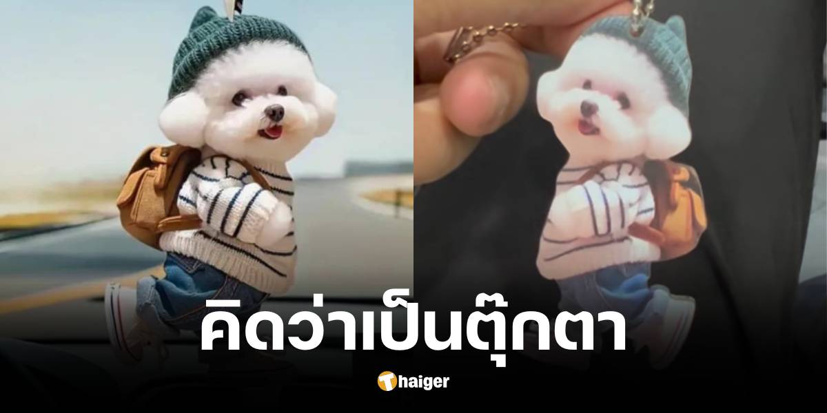 หนุ่มสั่งตุ๊กตาจากเว็บไซต์ temu แต่สินค้าที่ได้คือพวงกุญแจ