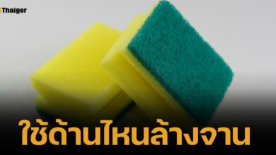 ผู้ผลิตบอกเอง ฟองน้ำล้างจาน ด้านสีเหลือง ไม่ได้มีไว้ &quot;ขัดจาน&quot;