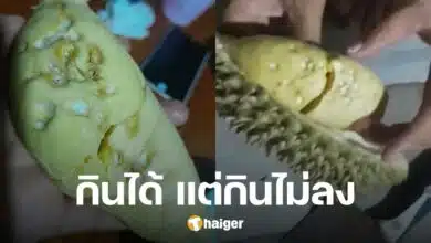 ร้านไม่รับเคลม สาวเจอทุเรียนเป็นรูพรุน แม่ค้ายืนกรานกินได้ บอกตรง สภาพนี้กินไม่ลง