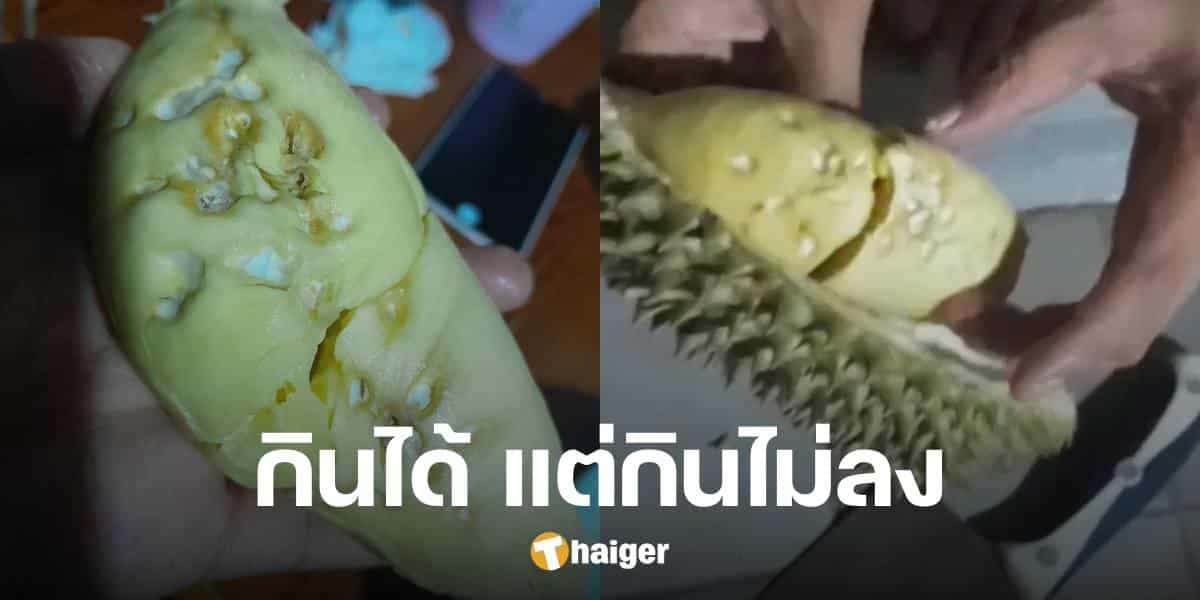 ร้านไม่รับเคลม สาวเจอทุเรียนเป็นรูพรุน แม่ค้ายืนกรานกินได้ บอกตรง สภาพนี้กินไม่ลง