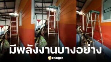 หนุ่มโพสต์วิดิโอบันไดเดินได้