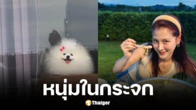 ใบเฟิร์นโพสต์ภาพติดหนุ่มปริศนา