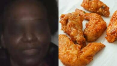 ขโมยปีกไก่ คุก 9 ปี