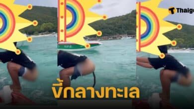 เด็กเรือขี้ลงทะเล