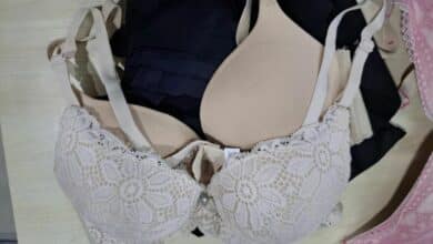 ขโมยชุดชั้นใน 500 ตัว