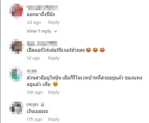 ความเห็นชาวเน็ต
