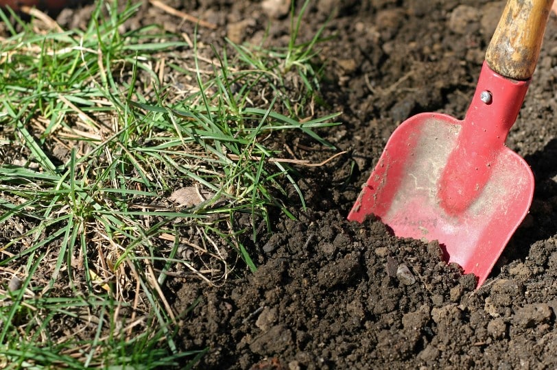 ชายชราขุดพบทอง แต่ความจริงดันเป็นโบราณวัตถุ