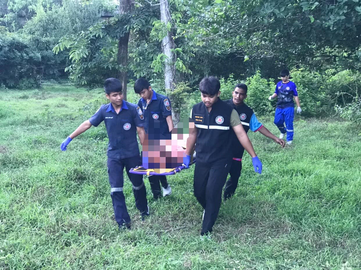 ฝรั่งรัสเซียปล้ำวัว ถูกหามลงเปล