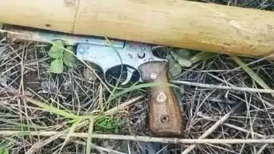 สาวนามสกุลดังถูกยิงดับ ทางขึ้นเขาใหญ่ เร่งไขคดีด่วน