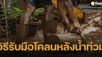 10 วิธีรับมือ &quot;ล้างโคลน&quot; หลังน้ำท่วมบ้าน รีบทำก่อนแห้ง