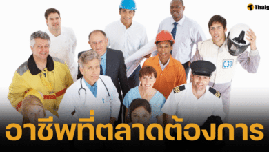 รวมสายอาชีพที่ตลาดแรงงานต้องการตัวมากที่สุดในตอนนี้