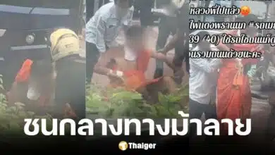 รถเมล์สาย 40 ชนพระขณะข้ามทางม้าลาย