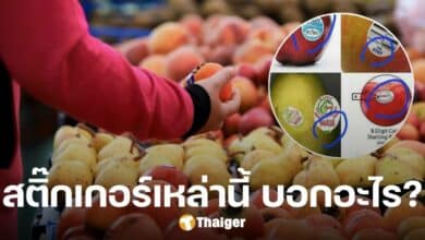 เกี่ยวกับ GMO ไหม? 'อ.เจษฎา' ตอบแล้ว 'สติ๊กเกอร์บนผลไม้' บอกอะไรผู้บริโภค