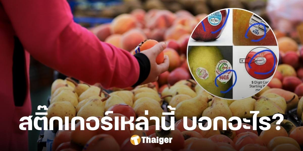 เกี่ยวกับ GMO ไหม? 'อ.เจษฎา' ตอบแล้ว 'สติ๊กเกอร์บนผลไม้' บอกอะไรผู้บริโภค