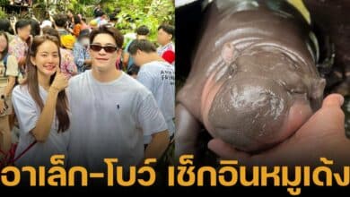 อาเล็ก ธีรเดช จับมือ โบว์ เมลดา ไปสวนสัตว์เขาเขียว ยืนดูหมูเด้ง