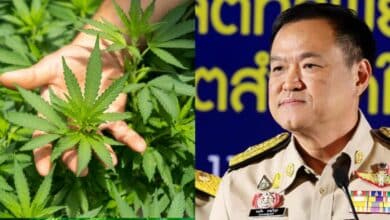 อนุทิน นโยบายกัญชา