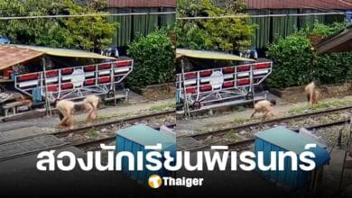 จวกยับ สองนักเรียนพิเรนทร์ เอาหินไปวางรางรถไฟ หวั่นเกิดอันตรายต่อคนเอง-ผู้อื่น